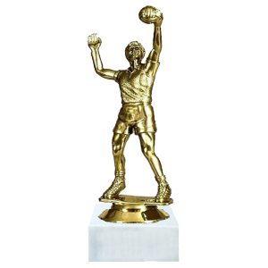 Selex Voleybol Figür Kupa