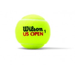 Wilson Us Open XD 3 lü Tenis Topu WRT106200
